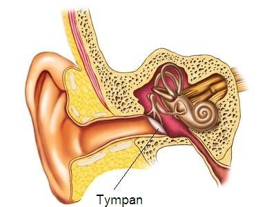 Pose d&rsquo;aérateurs trans-tympaniques chez l&rsquo;enfant